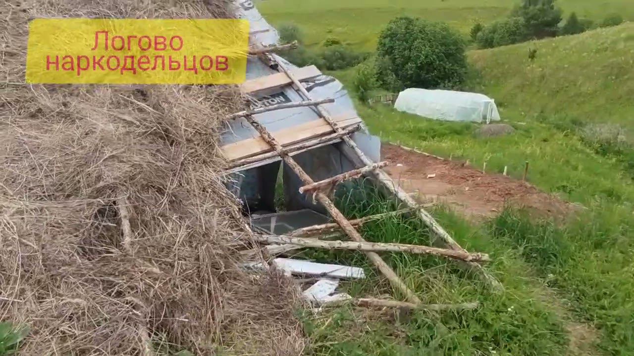логово наркодельцов по среди поля в овраге смотреть онлайн