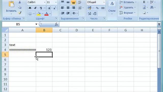 Ввод данных текстового формата в Excel 2007 (24/46) смотреть онлайн
