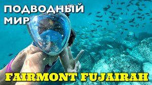 Снорклинг в Индийском океане у отеля Fairmont Fujairah Beach Resort 5*