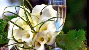 Н  Басков  С Днем Рождения!