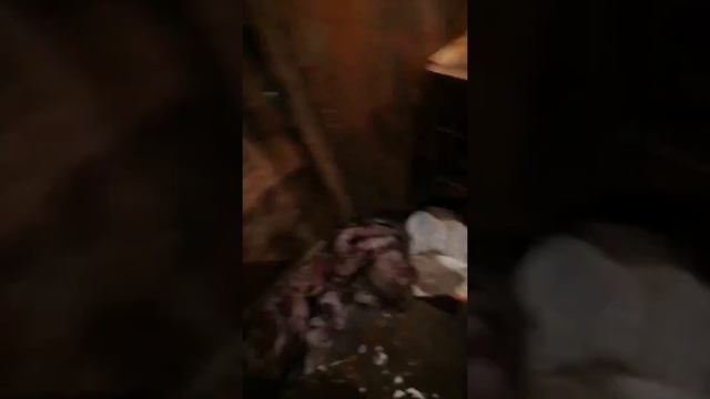 Масло лукойл в минус 12 градусов в гороже, на улице 29 минус смотреть онлайн