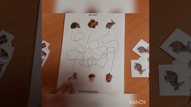 дикие животные