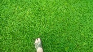 ДОБЫЧА АЛЮМИНИЯ..... Откуда можно взять алюминий???