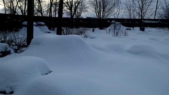 ВЕСНА на Урале в январе. Как зимуют ПЧЕЛКИ.