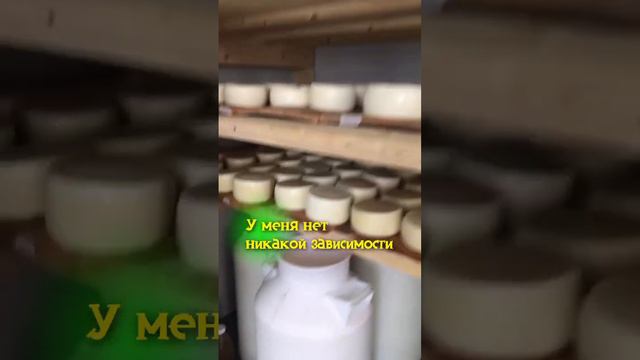 ЗАВИСИМОСТЬ ОТ СОЗДАНИЯ КОЗЬЕГО СЫРА 😋🧀