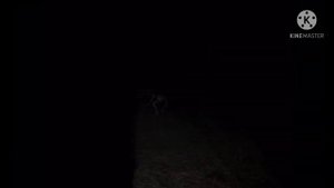 Unnerving Images with Minecraft Cave Sounds (Extra II) (Reupload)