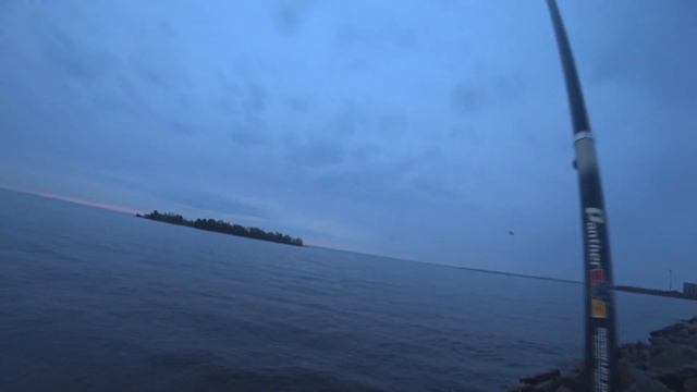 Я БЫЛ В ШОКЕ С ТАКИХ ПОКЛЁВОК! РЫБАЛКА НА ДОНКУ, ФИДЕР НА ФИНСКОМ ЗАЛИВЕ В НЕРЕСТ. ЖЁСТКИЕ ПОКЛЁВКИ смотреть онлайн