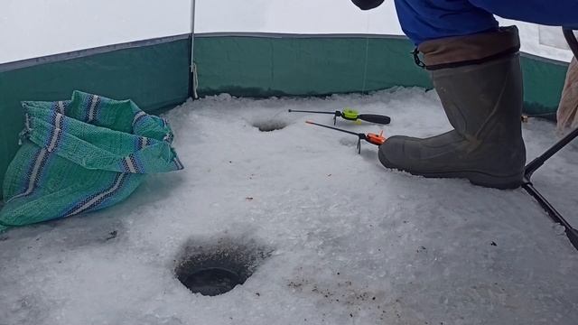 ПЛОТВА СОШЛА С УМА ОТ ПОГОДЫ! Как упешно ловить плотву зимой