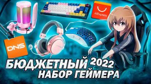 Лучший БЮДЖЕТНЫЙ НАБОР ГЕЙМЕРА 2022 с Aliexpress,dns  Игровые девайсы, мышки, наушники, клавиатура