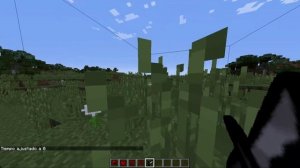 Among Us mod Minecraft FORGE 1.12.2