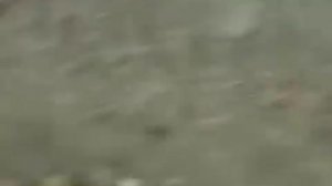 пистолет оса испытание