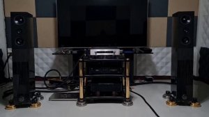 Audio Physic CODEX Speakers