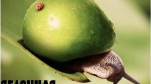 неудачный эксперимент: скрещивание животных с едой