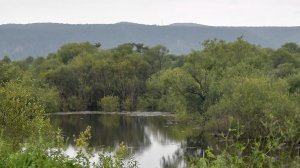 Раскопки городищ даурского типа в Приамурье