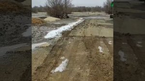 Саратовская область село Березовка .