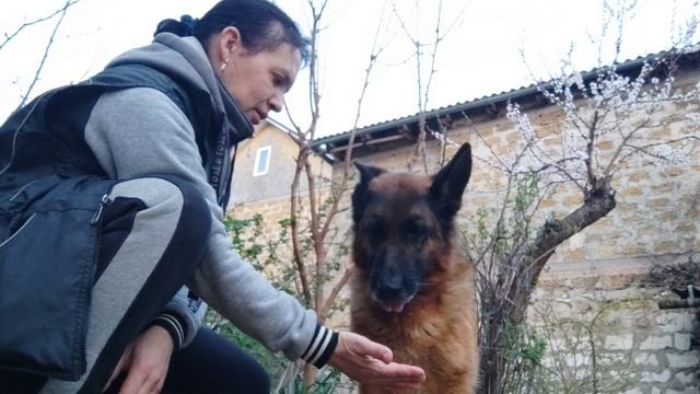 Хедда, команда "зырь". Домашнее задание из курса "На связи" от Варвары Большаковой и DogWinner