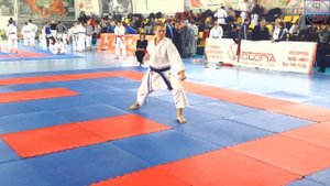 КАРАТЭ: ката ЭНПИ (WKF kata ENPI)