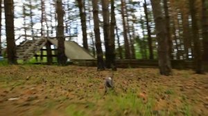 КРОЛИК В ДИКОЙ ПРИРОДЕ