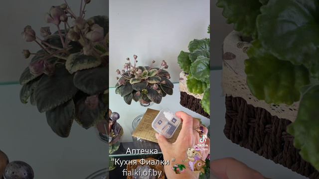 Аптечка " Кухня Фиалки "🐇
