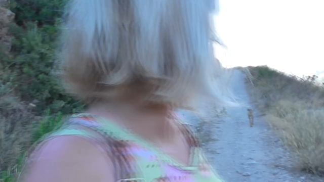 28.06.18. Природа и жизнь.Лис Рыж и его семья! смотреть онлайн