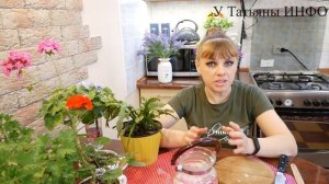 ЧУДО ЧЕСНОЧНАЯ ВОДА для ПОДКОРМКИ КОМНАТНЫХ РАСТЕНИЙ!