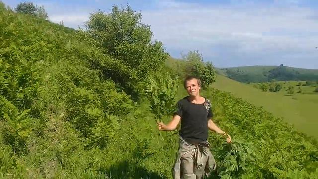 ПаПаРаТнИк смотреть онлайн