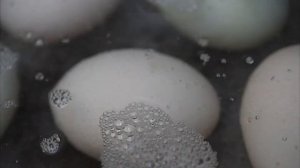 Что будет если ЕСТЬ 2-3 вареных ЯЙЦА каждый день? Польза вареных яиц для здоровья: факты и мифы.