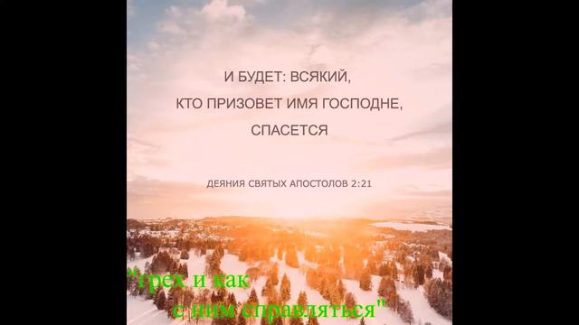 читаем Библию вместе