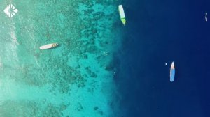 Summer Vibes 🔥 Alan Walker, Dua Lipa, Coldplay, Martin Garrix & Kygo, The Chainsmokers Style #18