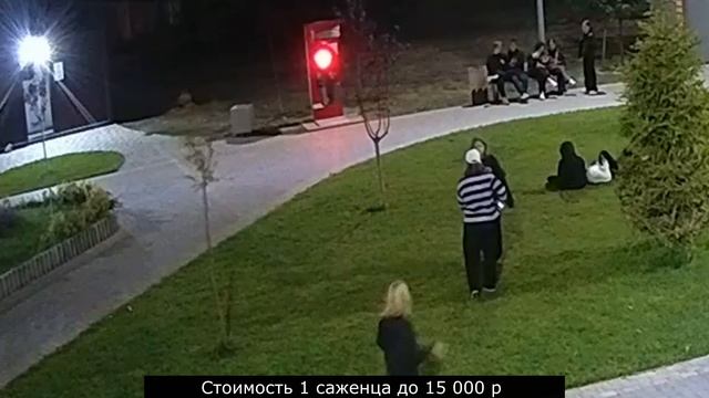 Подростки пытались сломать деревца