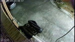 Tapo IP Camera C310 Stress Test (Live View-NightTime) Day 9