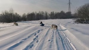 Погнали...