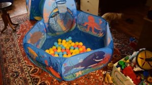 Обзор сухого бассейна Baby Go 3 in 1