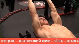 ТРИЦЕПС - ФРАНЦУЗСКИЙ ЖИМ - ЛЁЖА - ШТАНГА /гриф Кривой или Прямой.
