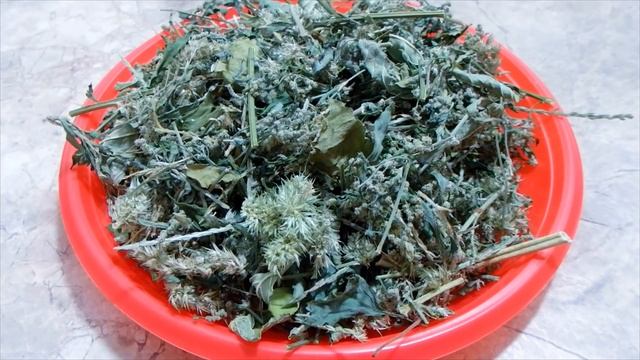 КОПОШИЛКА ДЛЯ ПОПУГАЯ. Делаем РАЗНООБРАЗНУЮ КОПОШИЛКУ для попугая.