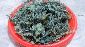 КОПОШИЛКА ДЛЯ ПОПУГАЯ. Делаем РАЗНООБРАЗНУЮ КОПОШИЛКУ для попугая.