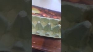 Как посадить редис ЖАРА в домашних условиях!