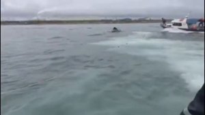 что творит береговая охрана!!!