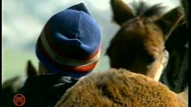 Тогуз Ак - №1 смотреть онлайн