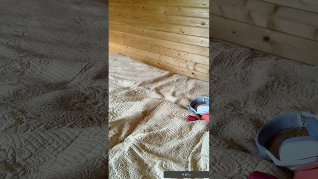 Что за движ у вас - это GAZPROM TEAM ✅ PUbg mobile стрим на отдыхе ✅ пабг мобайл смотреть онлайн