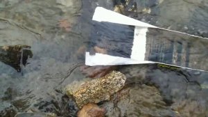 Gold/ENG SUB/ЗОЛОТО В ПОЛЬШЕ/Драгоценные камни #easyupe