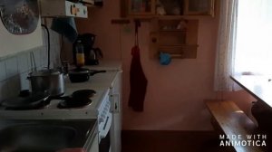 Озерные мидии