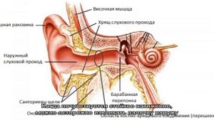 Как достать вату из уха