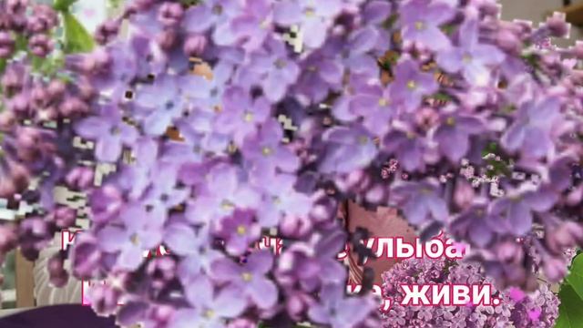 Мамуля, Я Тебя Люблю! смотреть онлайн