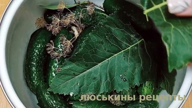 Хрустящие МАЛОСОЛЬНЫЕ ОГУРЦЫ в кастрюле | Как засолить огурцы