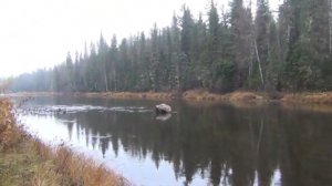 13 Серия Тайга Метеоритовый Плес, Выводы где РЫБА река Сухой Пит Осколок Тунгусский Метеорит