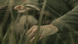 Машина Желаний 2