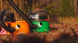 Numatic Henry Petcare Vacuum Cleaner - Coming Soon!