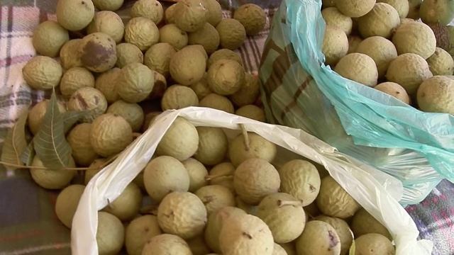 Зеленые грецкие орехи смотреть онлайн