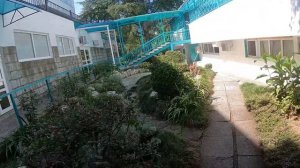 Сочи адлер санаторий Знание